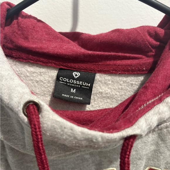 Florida State Hoodie - Picture 2 of 3